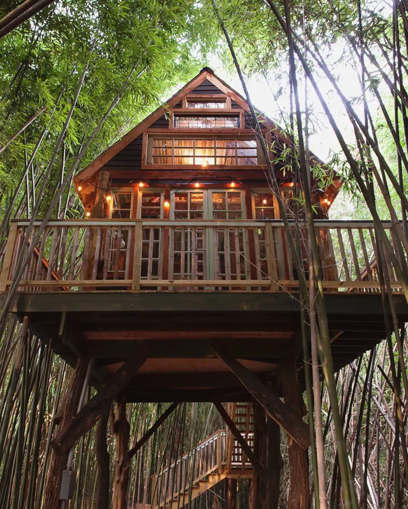 outside view of the Alpaca Treehouse in Atlanta that's surrounded by a bamboo forest