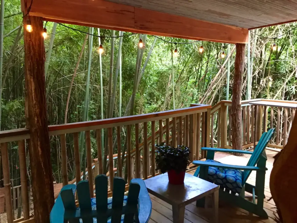 outdoor balcony overlooking a bamboo forest