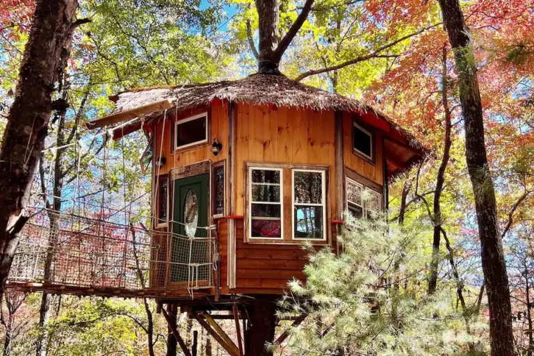 13 Amazing Treehouses in the Blue Ridge Mountains