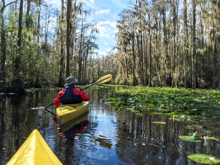 11 Best Places to Kayak in Georgia