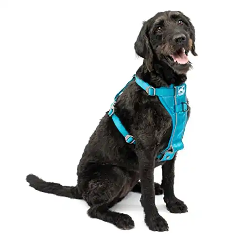 Kurgo Tru-Fit Quick Release Dog Harness