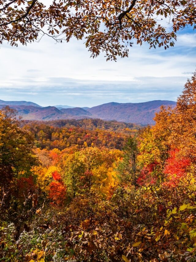 Best Places to See Fall Colors in the Smoky Mountains
