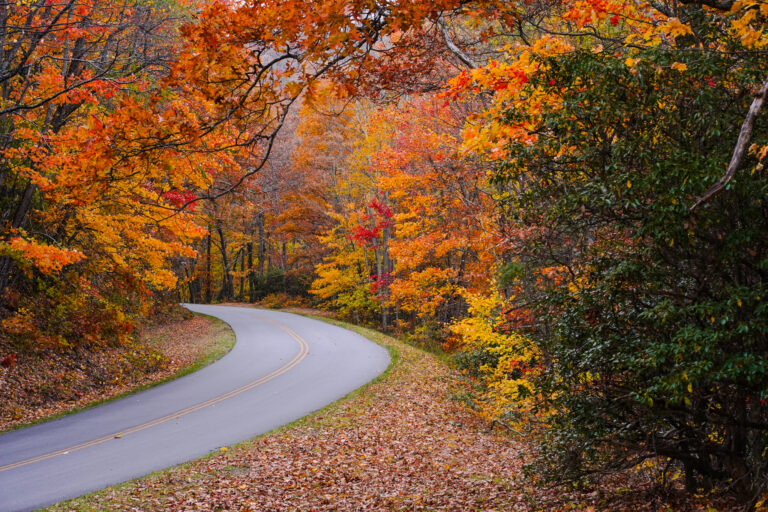 Best Places to See Fall Colors in the Smoky Mountains: A Guide to Stunning Autumn Views