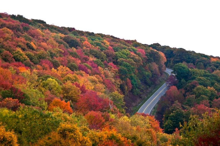 Best Places to See Fall Colors in Tennessee